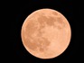 DSCN4994_600.jpg