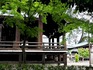 DSCN5097_600.jpg