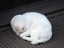 DSCN5053_600.jpg