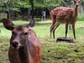 DSCN5398_600.jpg