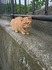 DSC_0280_450.jpg