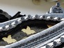 DSCN5613_600.jpg