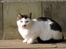 DSCN5862_600.jpg