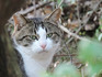 DSCN5873_600.jpg