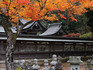 DSCN5937_600.jpg