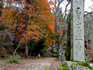 DSCN5985_600.jpg