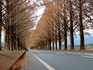 DSCN6074_600.jpg