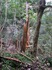 DSC_0328_600.jpg
