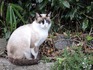 DSCN5857_600.jpg