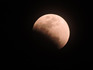 DSCN6099_600.jpg