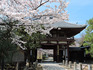 DSCN6285_600.jpg