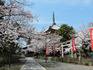 DSCN6289_600.jpg