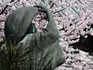 DSCN6322_600.jpg