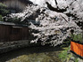 DSCN6482_600.jpg