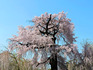 DSCN6484_600.jpg