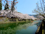 DSCN6532_600.jpg
