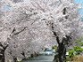 DSCN6642_600.jpg