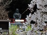 DSCN6343_600.jpg