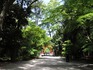 DSCN7205_600.jpg
