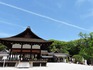 DSCN7223_600.jpg