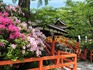 DSCN7253_600.jpg