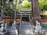 DSCN7433_600.jpg