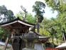 DSCN7439_600.jpg