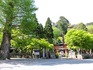 DSCN7442_600.jpg