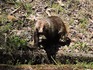 DSCN7939_600.jpg