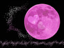 DSCN4999_600.jpg
