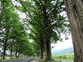 DSCN8042_600.jpg