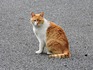 DSCN7790_600.jpg