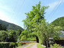 DSCN2852_600.jpg