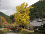 DSCN3922_600.jpg