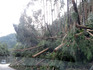 DSCN8363_600.jpg