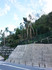 DSC_0466_600.jpg