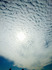 DSC_0476_600.jpg