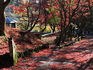 DSCN8599_600.jpg