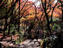DSCN8601_600.jpg