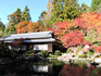 DSCN8665_600.jpg