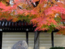 DSCN8804_600.jpg