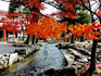 DSCN8816_600.jpg