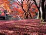 DSCN8849_600.jpg