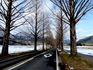 DSCN8994_600.jpg