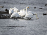 DSCN9016_600.jpg