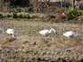 DSCN9059_600.jpg