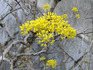DSCF9281_600.jpg