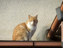 DSCF9284_600.jpg