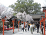 DSCN6362_600.jpg