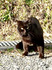 DSC_0539_600.jpg